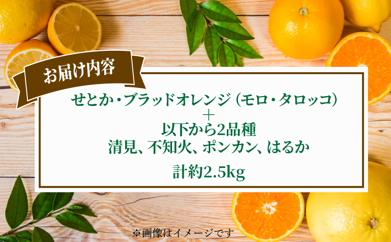 柑橘 詰合せ 2.5kg 先行予約 Special selection シトラスフルーツ コルレオファーム ブラッドオレンジ モロ タロッコ せとか 不知火 清見 ぽんかん はるか 5品種 果物 フルーツ みかん 農家直送 産地直送 数量限定 国産 愛媛 宇和島 B010-145007