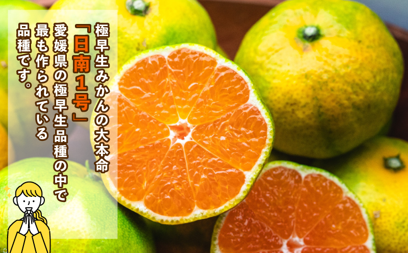 蜜柑 愛媛 極早生 みかん 日南1号 5kg S~L サイズ 混合 先行予約 コルレオファーム 極早生みかん mikan さっぱり 爽やか 甘味 酸味 果物 フルーツ 柑橘 農家直送 産地直送 数量限定 国産 宇和島 B010-145011