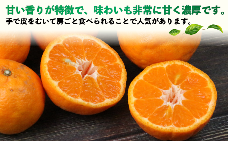 訳あり ポンカン 9kg 河野農園 わけあり みかん 蜜柑 mikan 愛媛みかん 愛媛ミカン 愛媛蜜柑 宇和島みかん ぽんかん 甘い 濃厚 人気 品種 果物 くだもの フルーツ おすすめ 柑橘 農家直送 産地直送 数量限定 先行予約 国産 愛媛 宇和島 B010-147005