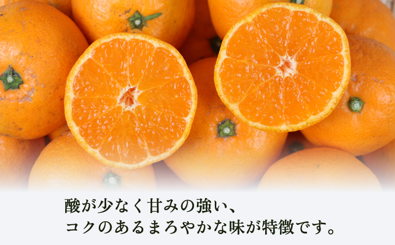 温州みかん  南柑20号 9kg 家庭用 植村農園 先行予約 mikan みかん 温州蜜柑 愛媛ミカン 愛媛蜜柑 愛媛みかん 温州 蜜柑 果物 くだもの フルーツ 柑橘 農家直送 産地直送 数量限定 国産 愛媛 愛媛産 宇和島 B010-153004