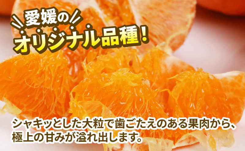 甘平 家庭用 3.5kg 植村農園 先行予約 かんぺい 高級 希少 ブランド シャキシャキ 限定 品種 甘い 果物 フルーツ 柑橘 農家直送 産地直送 数量限定 国産 愛媛 宇和島 B010-153006