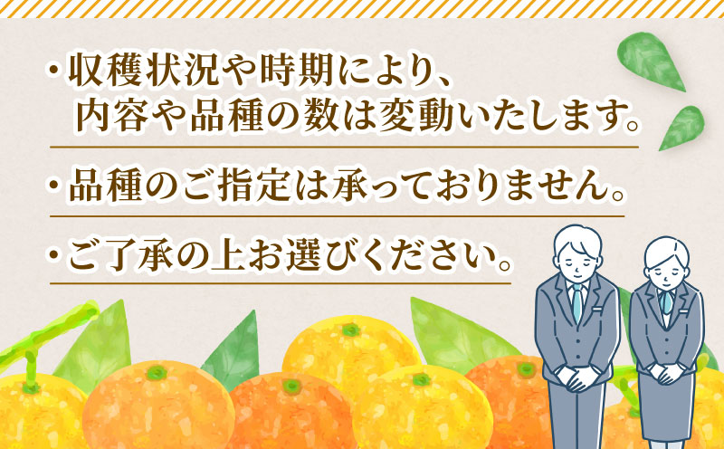 訳あり 季節 の みかん 詰合せ 10kg 矢野青果 フルーツ 詰め合わせ セット 柑橘 ミカン 蜜柑 mikan 果物 くだもの 愛媛みかん 愛媛蜜柑 濃厚みかん 産地直送 数量限定 国産 愛媛 宇和島 B010-171033