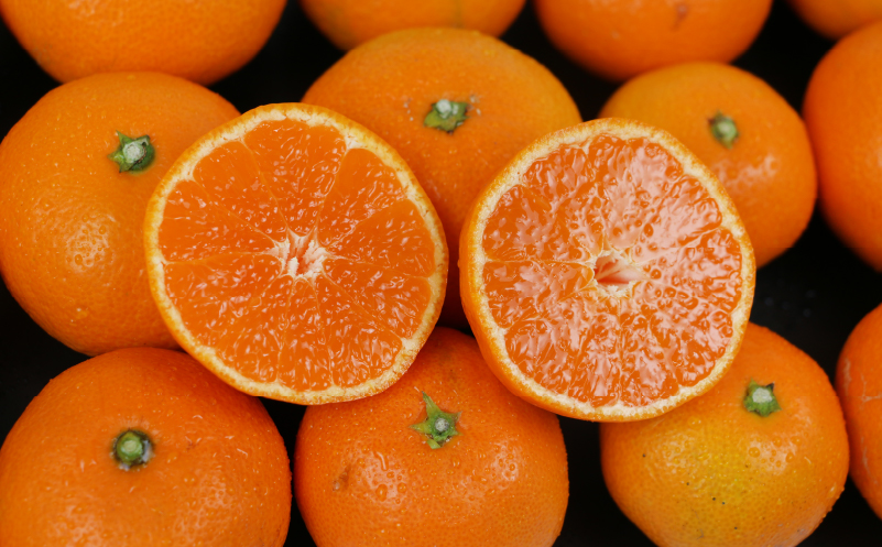 訳あり みかん 南柑20号 9kg まる玉農園 温州みかん 蜜柑 温州 うんしゅう 柑橘 濃厚 甘い mikan 酸味 果物 くだもの 訳アリ 訳あり品 訳有り わけあり 愛媛みかん 愛媛ミカン 愛媛県産 フルーツ 産地直送 農家直送 数量限定 国産 愛媛 宇和島 B010-172001