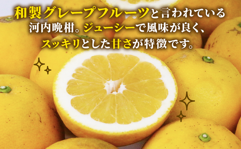 【訳あり】 河内晩柑 10kg まる玉農園 先行予約 愛媛みかん 蜜柑 果物 フルーツ mikan B010-172003