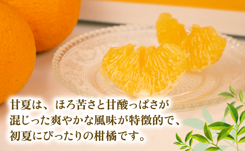 愛媛みかん 訳あり 甘夏 10kg まる玉農園 先行予約 わけあり 夏みかん 甘夏柑 あまなつ 愛媛ミカン 愛媛蜜柑 訳ありみかん 訳あり蜜柑 mikan 果物 くだもの フルーツ 柑橘 みかん 蜜柑 数量限定 産地直送 国産 愛媛 宇和島 B010-172005
