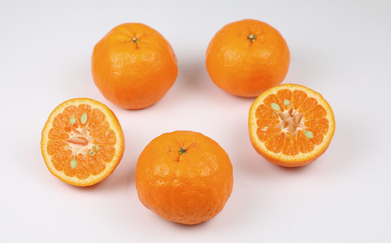 ポンカン 10kg 家庭用 サイズ ミックス 平石農園 果物 フルーツ 柑橘 甘い みかん 蜜柑 数量限定 産地直送 農家直送 国産 愛媛 宇和島 B011-017003