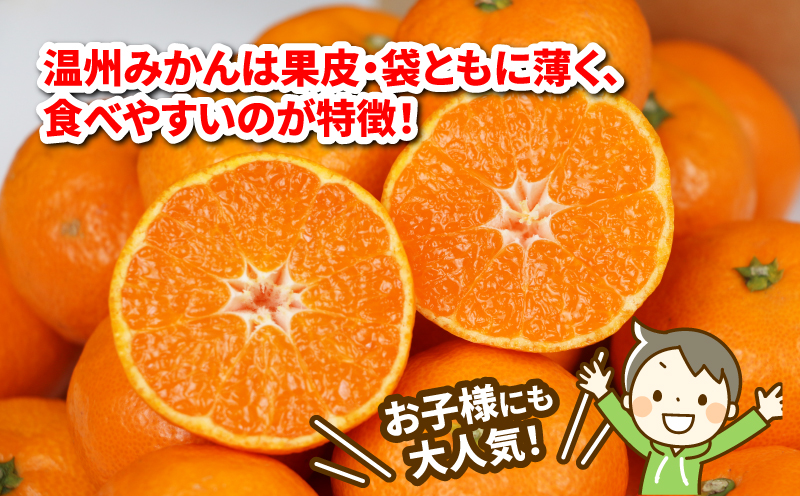 みかん 3kg 特別栽培米 コシヒカリ 伊達米 3kg 詰め合わせ セット ワールドファーマーズ 温州みかん 米 ミカン 蜜柑 mikan 愛媛みかん 愛媛蜜柑 愛媛県産 柑橘 果物 くだもの フルーツ 柑橘 農家直送 産地直送 数量限定 国産 愛媛 宇和島 B012-024003