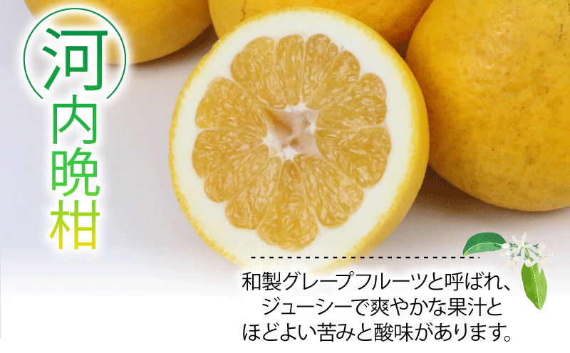 河内晩柑 4kg 甘夏 4kg 詰め合わせ セット ワールドファーマーズ 雑柑 晩柑 かわちばんかん 和製 グレープフルーツ あまなつ 食べ比べ 果物 くだもの フルーツ 柑橘 みかん 蜜柑 mikan 数量限定 産地直送 農家直送 国産 愛媛 宇和島 B012-024009