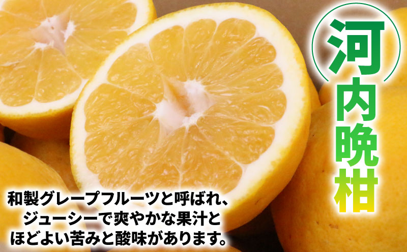愛媛みかん 河内晩柑 7.5kg ワールドファーマーズ 先行予約 晩柑 かわちばんかん 和製 グレープフルーツ 愛媛ミカン 愛媛蜜柑 愛媛県産みかん 蜜柑 みかん mikan 爽やかみかん 宇和島みかん 果物 くだもの フルーツ 柑橘 数量限定 産地直送 国産 愛媛 宇和島 B012-024010
