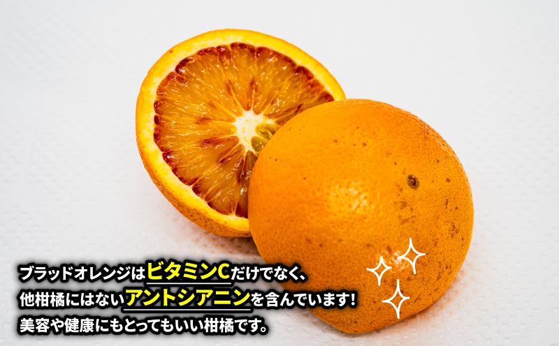 ブラッドオレンジ タロッコ 家庭用 4kg 愛媛みかん ワールドファーマーズ 人気みかん 先行予約 ブラッド オレンジ ブラッドオレンジタロッコ 愛媛ミカン 愛媛蜜柑 蜜柑 みかん mikan 果物 くだもの フルーツ 柑橘 数量限定 産地直送 国産 愛媛 宇和島 B012-024012