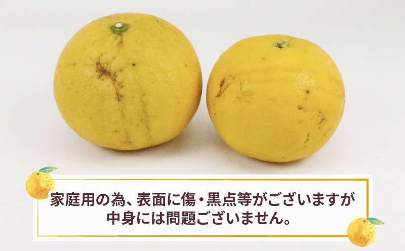 イエローポメロ 2.5kg 4 ～ 5個 温州 みかん ジュレ 6個 詰め合わせ セット 山本みかん 果物 フルーツ 柑橘 国産 愛媛 宇和島 B012-038004