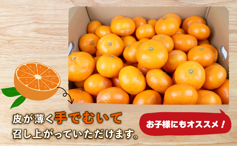愛媛みかん 南柑20号 10kg S~2L サイズ 家庭用 上杉果樹園 先行予約 温州蜜柑 温州みかん mikan 愛媛ミカン 愛媛蜜柑 愛媛みかん みかん ビタミン 温州 蜜柑 果物 くだもの フルーツ 柑橘 農家直送 産地直送 数量限定 国産 愛媛 宇和島 B012-056002