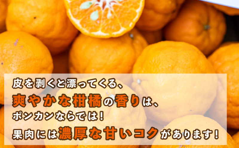 訳あり ポンカン 9kg コルレオファーム わけあり訳あり品 訳有り 訳アリ 愛媛みかん 愛媛ミカン みかん フルーツ 柑橘 蜜柑 mikan 果物 くだもの 甘い コク 人気のみかん 美味しい 産地直送 数量限定 先行予約 国産 愛媛 愛媛県 宇和島 B012-145010