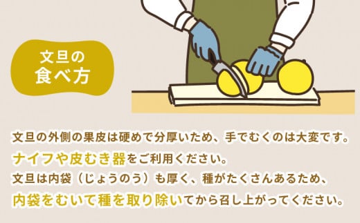 準 贈答用 文旦 5kg 矢野青果 ザボン ぶんたん ボンタン 果物 くだもの フルーツ さっぱり 酸味 蜜柑 準贈答用 贈答品 贈答 ギフト プレゼント 産地直送 農家直送 数量限定 国産 愛媛 宇和島 B012-171012