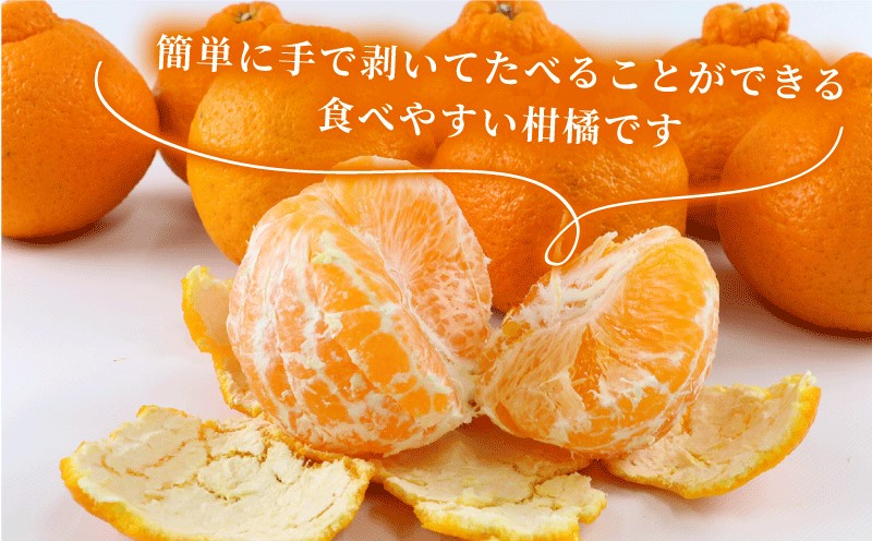 準 贈答用 不知火 5kg 矢野青果 先行予約 しらぬい 高級 希少 限定 品種 ブランド 高級柑橘 甘い 果物 くだもの フルーツ 柑橘 みかん 蜜柑 愛媛蜜柑 愛媛みかん mikan 贈答 ギフト プレゼント 産地直送 数量限定 国産 愛媛 愛媛県 宇和島 B012-171018