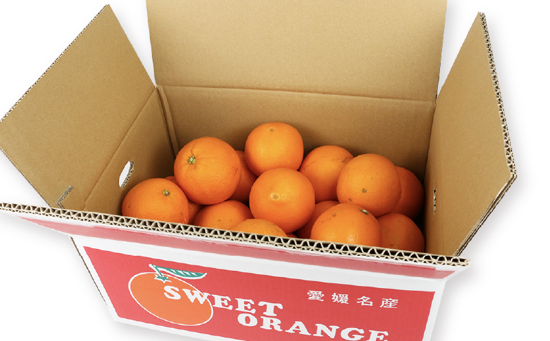 ネーブルオレンジ 5kg 準 贈答用 矢野青果 ネーブル オレンジ オレンジ みかん 柑橘 果物 くだもの フルーツ 濃厚 甘い 甘味 蜜柑 愛媛蜜柑 愛媛みかん mikan 贈答品 贈答 ギフト プレゼント 産地直送 農家直送 数量限定 国産 愛媛 宇和島 B012-171019