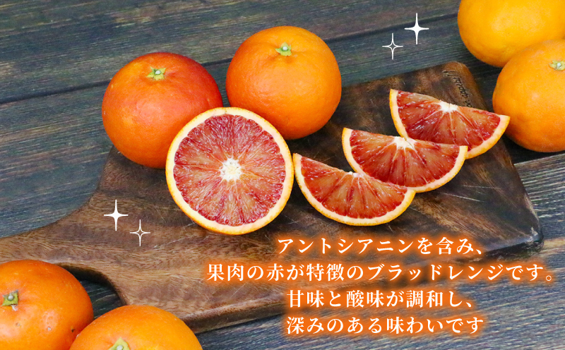 準 贈答用 ブラッドオレンジ タロッコ 5kg 矢野青果 先行予約 オレンジ みかん 柑橘 果物 くだもの オレンジフルーツ フルーツ 濃厚 甘い 甘味 蜜柑 準贈答用 贈答品 贈答 ギフト プレゼント 産地直送 農家直送 数量限定 国産 愛媛 宇和島 B012-171020