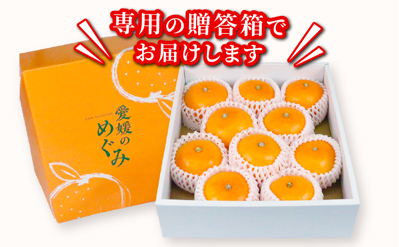 せとか 2 ~ 3kg 贈答用 矢野青果 柑橘の 大トロ 高級 希少 限定 品種 ブランド 高級柑橘 甘い 果物 くだもの フルーツ 柑橘 みかん 蜜柑 愛媛蜜柑 愛媛みかん mikan 贈答 ギフト プレゼント 産地直送 数量限定 国産 愛媛 愛媛県 宇和島 B012-171022