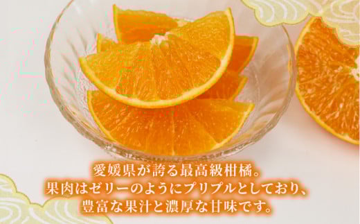 愛果28号 5kg 矢野青果 家庭用 愛媛みかん みかん 柑橘 果物 ミカン あいか 美味しい くだもの フルーツ 高級 ブランド 限定 品種 濃厚 甘い 甘味 蜜柑 ゼリー プルプル サイズ 不揃い ご当地 愛媛ミカン 愛媛蜜柑 愛媛県産 数量限定 国産 愛媛 宇和島 B014-171003