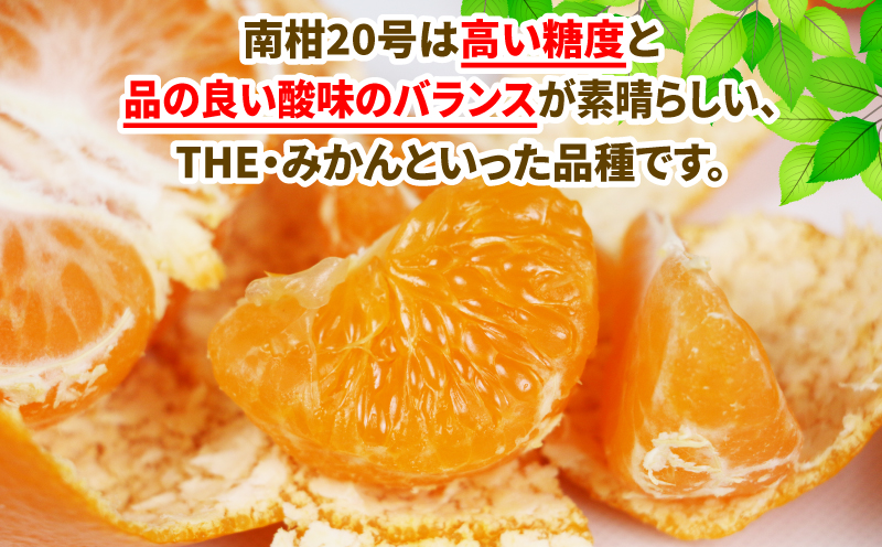 愛媛みかん 南柑20号 10kg 甘い 美味しい ワールドファーマーズ 先行予約 温州 みかん うんしゅう 温州みかん 愛媛ミカン 愛媛蜜柑 愛媛県産みかん みかん 蜜柑 mikan 果物 くだもの フルーツ 柑橘 数量限定 産地直送 国産 愛媛 宇和島 B015-024002