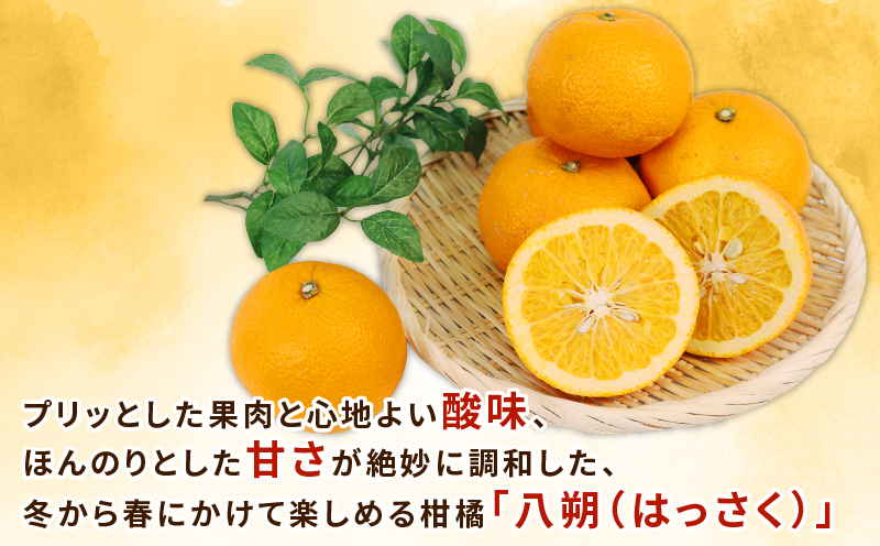 はっさく 訳あり 八朔 10~12kg 先行予約 ふるくとファーム かなこちゃんち 果物 くだもの フルーツ 柑橘 みかん 蜜柑 mikan わけあり 訳アリ 訳あり品 ビタミンC たっぷり 愛媛ミカン 愛媛蜜柑 愛媛みかん 農家直送 産地直送 数量限定 国産 愛媛 宇和島 B015-037003
