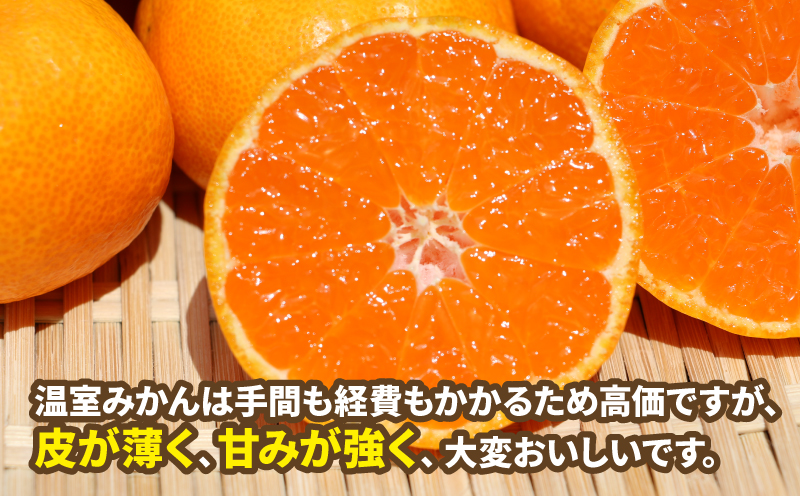 温室みかん 2kg 家庭用 ハマみかん 先行予約 温州みかん 温室蜜柑 ハウス栽培 ハウスみかん  興津 早生 ハウス みかん mikan 果物 フルーツ 柑橘 蜜柑 愛媛ミカン 愛媛蜜柑 愛媛みかん 農家直送 産地直送 数量限定 国産 愛媛 宇和島 B015-075004