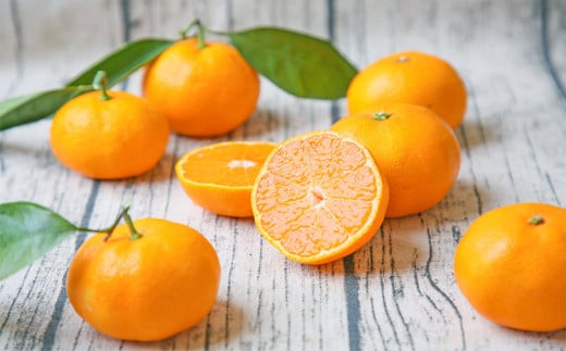 愛媛 みかん 贈答用 秀品 3kg フレッシュつちやま 特選 温州 温州みかん 贈答用みかん 早生 早生温州 南柑20号 贈答品 ギフト プレゼント 高級 果物 くだもの フルーツ 柑橘 蜜柑 愛媛みかん 愛媛蜜柑 愛媛ミカン 農家直送 産地直送 数量限定 国産 愛媛 愛媛県産 宇和島 B015-096004