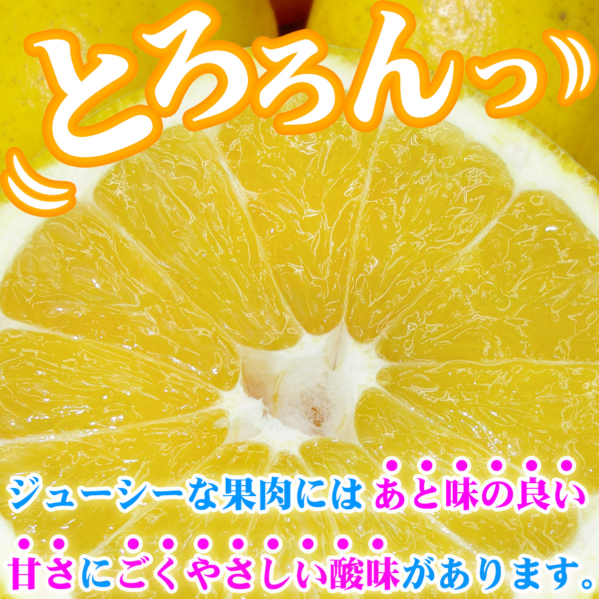 河内晩柑 贈答用 10kg L?2L 中井屋 果物 くだもの みかん 蜜柑 mikan フルーツ B015-173007