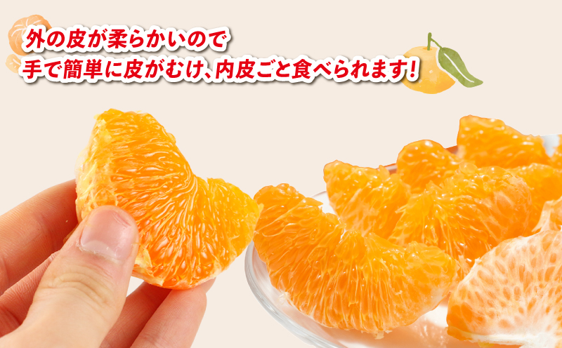 甘平 5kg 家庭用 サイズ不揃い 兵頭農園 高級 希少 限定 品種 ブランド 高級柑橘 甘い シャキシャキ かんぺい 希少 果物 くだもの フルーツ 柑橘 みかん 蜜柑 愛媛蜜柑 愛媛みかん mikan 農家直送 産地直送 数量限定 国産 愛媛 愛媛県 宇和島 B018-055010