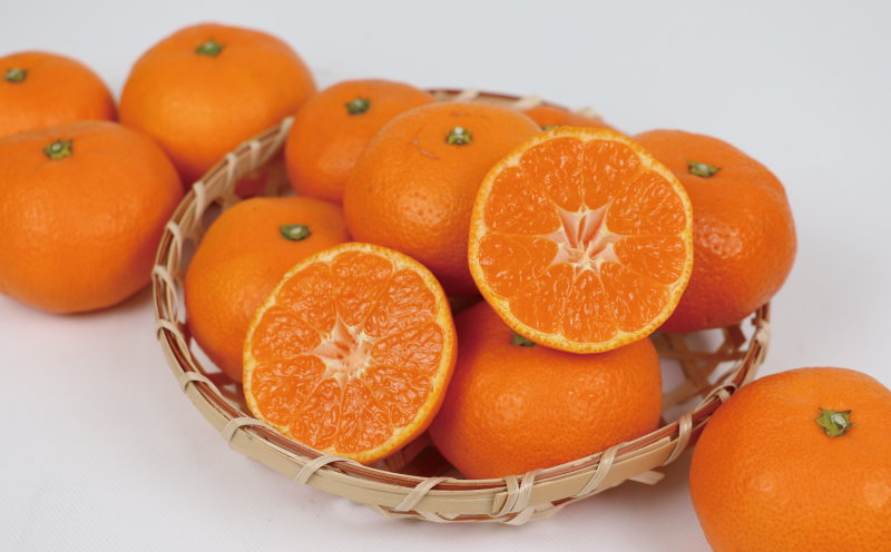 みかん 10kg 贈答用 優品 愛媛 南柑20号 S～L サイズ ミックス 玉津みかん ニュービジネスユニット 先行予約 温州 温州みかん 果物 くだもの フルーツ 柑橘 蜜柑 mikan 温州 愛媛ミカン 愛媛蜜柑 愛媛みかん 国産 産地直送 数量限定 宇和島 B018-058005