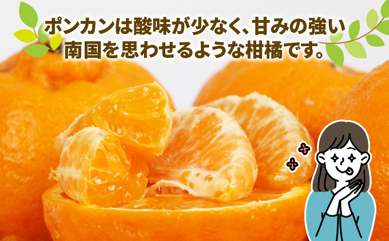 ポンカン 先行予約 贈答用 優品 9kg S~L サイズ ミックス 玉津みかん ニュービジネスユニット 甘い みかん ミカン 果物 くだもの フルーツ 柑橘 みかん 蜜柑 mikan 愛媛ミカン 愛媛蜜柑 愛媛みかん 農家直送 産地直送 数量限定 国産 愛媛 宇和島 B018-058006