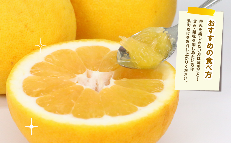 河内晩柑 贈答用 8.5kg 23～26玉 サイズ ミックス 不揃い 玉津みかん ニュービジネスユニット 先行予約 晩柑 かわちばんかん 和製 グレープフルーツ 高級 ギフト 贈答品 果物 フルーツ みかん 蜜柑 農家直送 産地直送 数量限定 国産 愛媛 宇和島 B018-058013