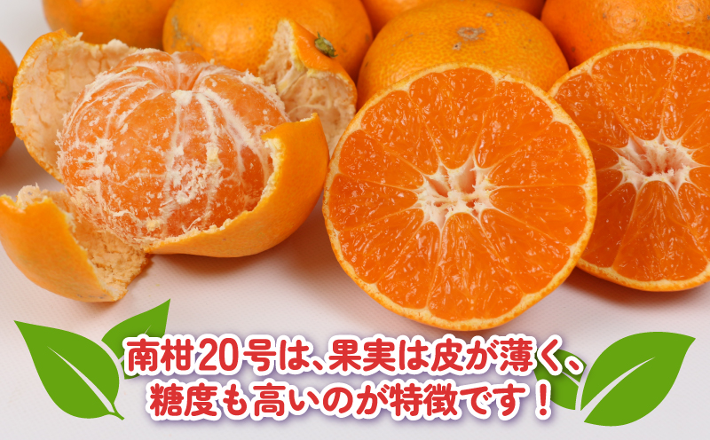 訳あり 南柑20号 みかん 10kg 杉本屋 わけあり 訳あり品 訳アリ 愛媛みかん 愛媛蜜柑 愛媛ミカン 温州 温州みかん 甘い 果物 くだもの フルーツ 柑橘 蜜柑 mikan 産地直送 数量限定 国産 愛媛 宇和島 B018-143028