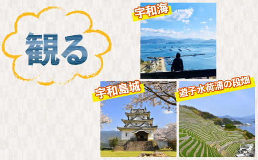 せとか 秀品 3kg 先行予約 えひめ南農業協同組合直販センター JA  せとか みかん せとか 蜜柑 せとか B020-009006