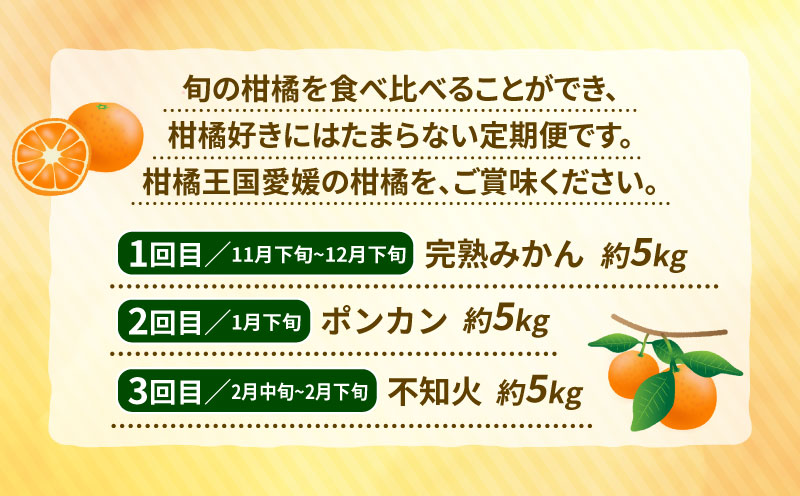 みかん定期便 訳あり 柑橘定期便 全3回 杉本屋 わけあり 完熟みかん 柑橘  みかん ポンカン 不知火 完熟 温州みかん mikan 愛媛みかん愛媛ミカン 愛媛蜜柑 早生温州 温州 甘い 果物 フルーツ 柑橘 蜜柑  産地直送 数量限定 国産 愛媛 宇和島 B030-143013