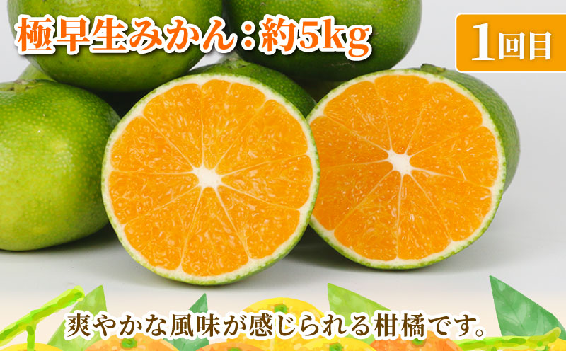 旬の 温州みかん 5kg × 3回 定期便 矢野青果 準贈答用 極早生 宮川早生 南柑20号 みかん mikan 愛媛みかん 愛媛ミカン 愛媛蜜柑 果物 くだもの フルーツ 濃厚 甘い 甘味 さっぱり 酸味 蜜柑 産地直送 数量限定 国産 愛媛 宇和島 B036-171027