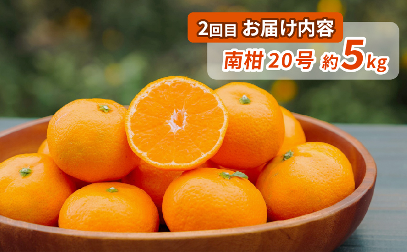 シトラス フルーツ 4回 定期便 コルレオファーム 宮川早生 南柑20号 ブラッドオレンジ モロ 甘平 はるか ポンカン タロッコ せとか 清見 不知火 詰め合わせ 愛媛ミカン 愛媛みかん みかん 柑橘 蜜柑 mikan 温州 果物 くだもの 温州蜜柑 産地直送 数量限定 先行予約 国産 愛媛 宇和島 B044-145018