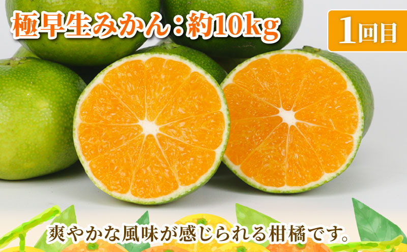 旬の 温州みかん 10kg × 3回 定期便 矢野青果 準贈答用 極早生 宮川早生 南柑20号 みかん mikan 愛媛みかん 愛媛ミカン 愛媛蜜柑 果物 くだもの フルーツ 濃厚 甘い 甘味 さっぱり 酸味 蜜柑 産地直送 数量限定 国産 愛媛 宇和島 B072-171028