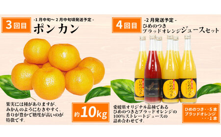 愛媛みかん えひめの旬の柑橘 産地直送 6回 定期便 えひめ南農業協同組合直販センター JA 早生温州 南柑20号 ポンカン 約10kg デコポン 約5kg 河内晩柑 約8kg ひめのつき ブラッドオレンジ ジュース セット 6本 蜜柑 みかん mikan 果物 くだもの フルーツ 柑橘 愛媛蜜柑 農家直送 産地直送 数量限定 国産 愛媛 宇和島 B120-009012