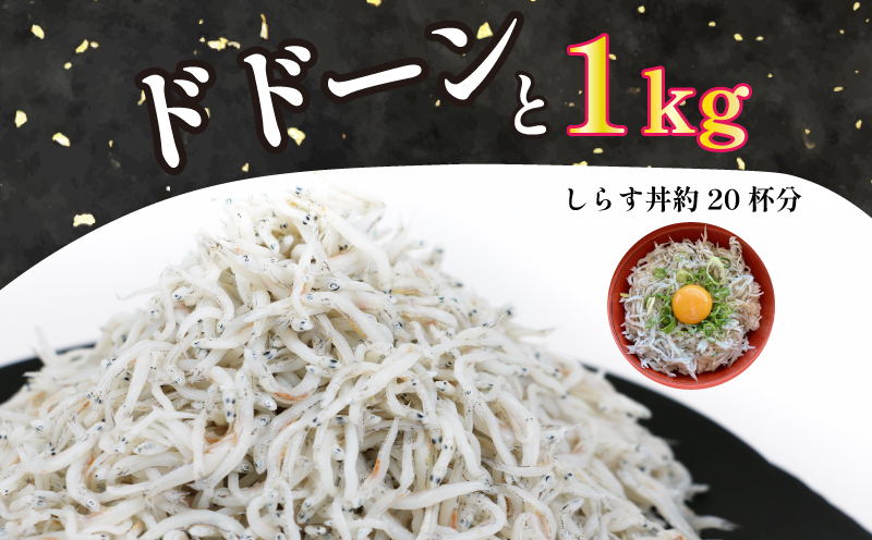 【小分けで便利！】 シラス 釜揚げしらす 100g × 10袋 計 1kg 時栄水産 冷凍 sirasu 小魚 じゃこ 干し 人気 水産 加工品 かまあげ D010-174001