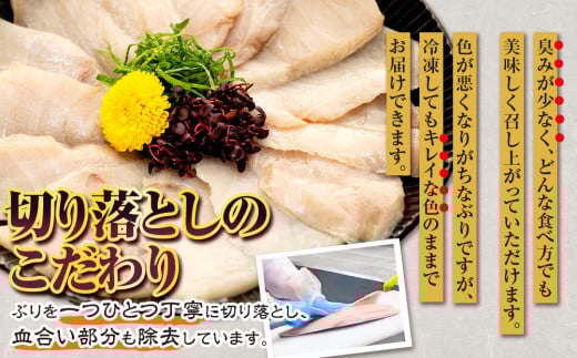 【訳あり】 ブリ 鰤 切り落とし 計約 1kg ( 250g ×4 パック ) 南予ビージョイ buri ぶり 魚 刺身 わけあり 人気 D011-150002