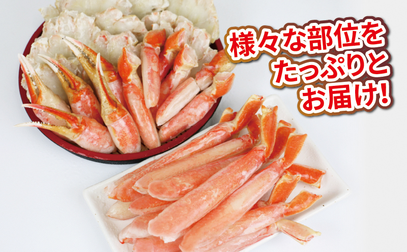 蟹  ボイル ずわいがに むき身 セット 総重量 約 1kg ニューバーク 本ズワイガニ カニ kani むき身 ポーション 茹で D016-116007
