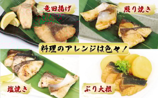 【訳あり】 ブリ 鰤 切身 計 2.25kg セット (250g×9 パック) 味付け オイル 付き 南予ビージョイ 骨なし buri ぶり 便利 魚 D017-150015