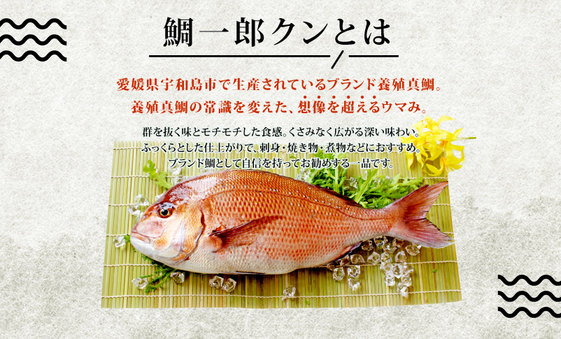 真鯛 鯛一郎クン 切身 80g4袋 たれ20g4袋 藁焼き丼の具 4食分 コバヤ 養殖真鯛 鯛 切り身 刺身 まだい たい マダイ タイ ご飯 丼 海鮮丼 漬け丼 漬丼 鯛めし 藁焼き 燻製 風 一人暮らし お手軽 簡単 便利 簡単調理 加工品 国産 愛媛 宇和島 D020-059010