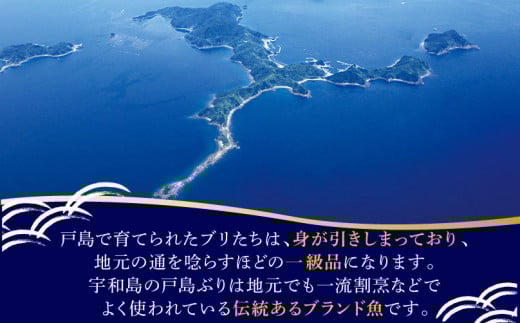 【ブリしゃぶ】 戸島ブリ 600g フレッシュつちやま 先行予約 鰤しゃぶ 新鮮 養殖 buri D020-096013