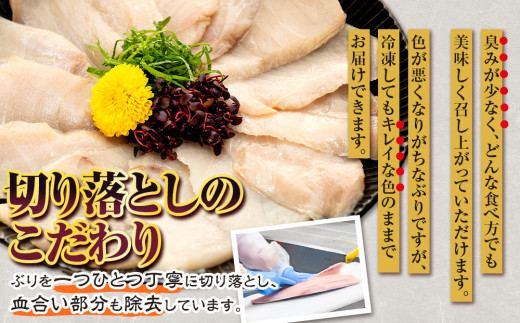 【訳あり】 ブリ 鰤 切り落とし 計約 2kg ( 250g ×8 パック ) 南予ビージョイ buri ぶり 魚 刺身 わけあり 人気 D021-150008