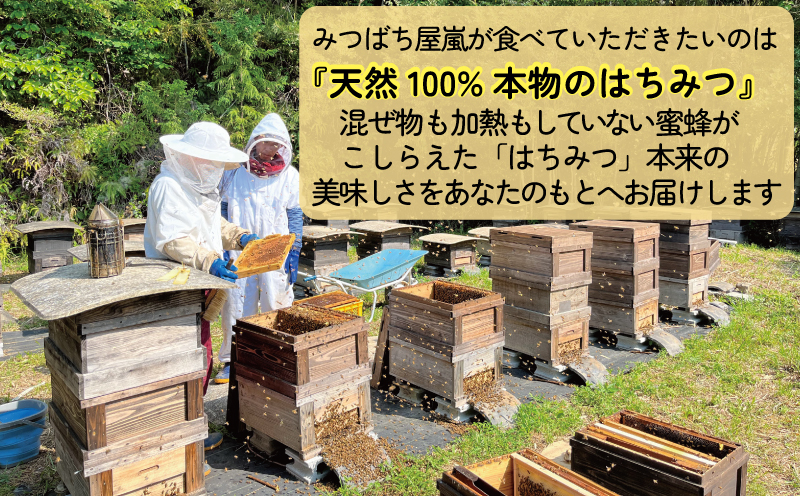 国産純粋はちみつ 嵐 の はちみつ 天然 100％ 宇和島 百花蜜 みつばち屋嵐 非加熱 蜂蜜 人気 国産蜂蜜 天然蜂蜜 天然はちみつ 百花蜂蜜 百花はちみつ ピュア ハニー パン ジャム 国産 愛媛 F010-129002