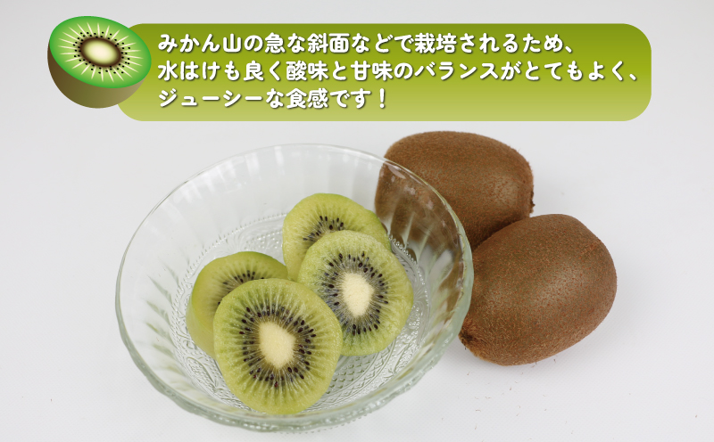 訳あり キウイ フルーツ 4kg  杉本屋 わけあり グリーンキウイ ヘイワード キウイフルーツ デザート スイーツ 先行予約 果物 くだもの サイズ 不揃い 訳アリ 訳あり品 訳有り 朝食 愛媛県産 愛媛県産キウイ キウィ キウィフルーツ 産地直送 数量限定 国産 愛媛 宇和島 F010-143002