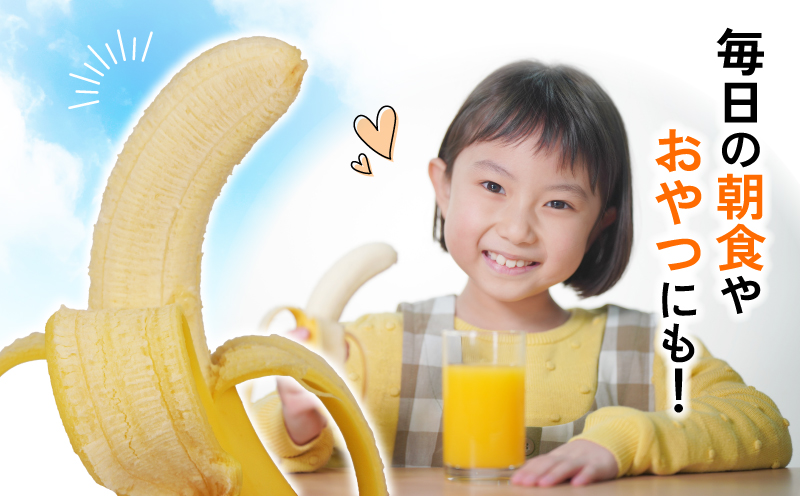 バナナ 熟サンテーラバナナ 計 約3kg ( 600g以上 × 5袋 ) 徳田青果 果物 くだもの フルーツ ばなな トロピカルフルーツ 南国フルーツ 熟成バナナ 甘い コク 香り 希少 朝食 おやつ スムージー 手軽 簡単 お取り寄せ 愛媛 宇和島 F010-194001