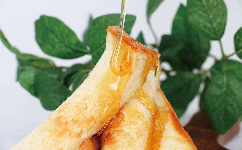 訳あり 地蜜 はちみつ 180g 元気や ハチミツ わけあり 訳アリ 訳あり品 非加熱 はちみつ 国産はちみつ 純粋はちみつ 生はちみつ 生蜂蜜 蜂蜜 ちみつ ハニー honey 簡易包装 甘い 数量限定 産地直送 国産 愛媛 宇和島 F011-176007